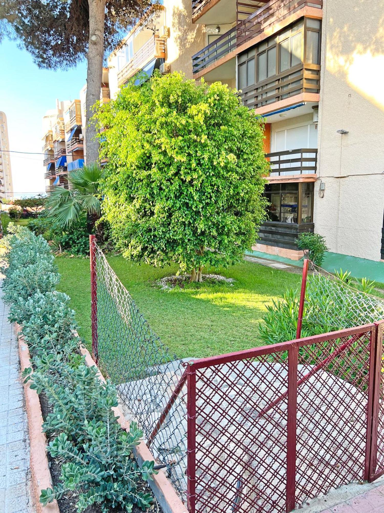 Coqueto Con Piscina, Nuevo A 50M Del Mar, Parking Gratis Lägenhet El Campello Exteriör bild