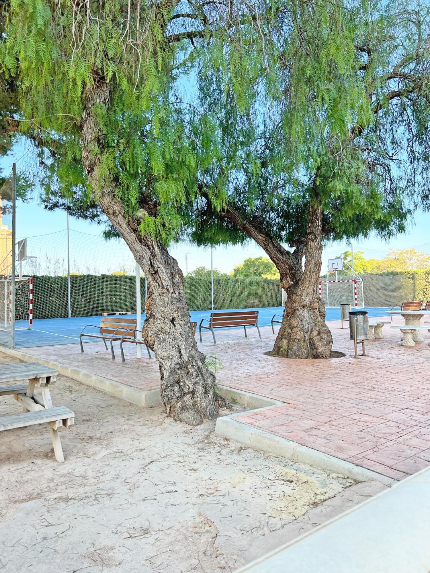 Coqueto Con Piscina, Nuevo A 50M Del Mar, Parking Gratis Lägenhet El Campello Exteriör bild