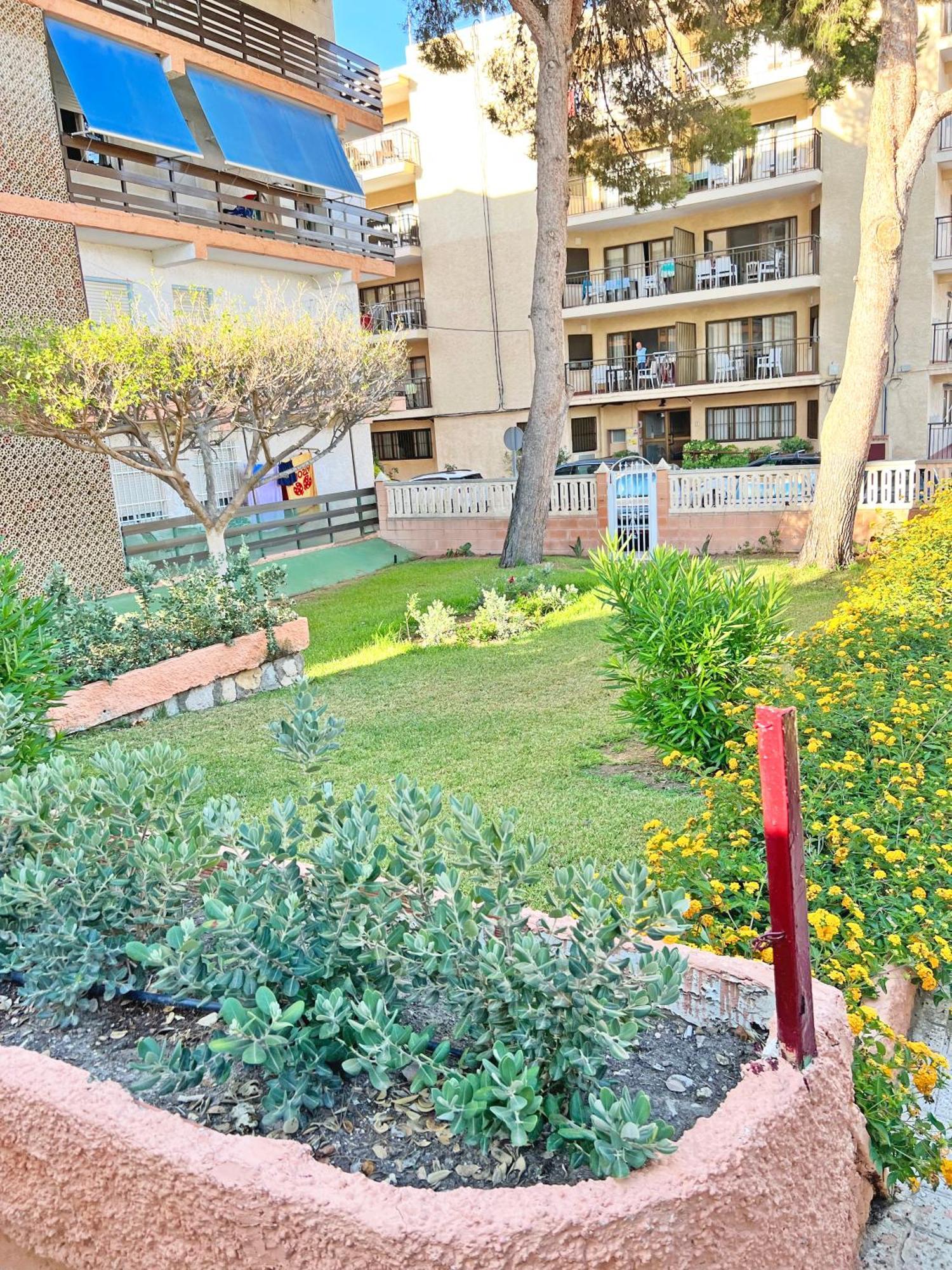 Coqueto Con Piscina, Nuevo A 50M Del Mar, Parking Gratis Lägenhet El Campello Exteriör bild