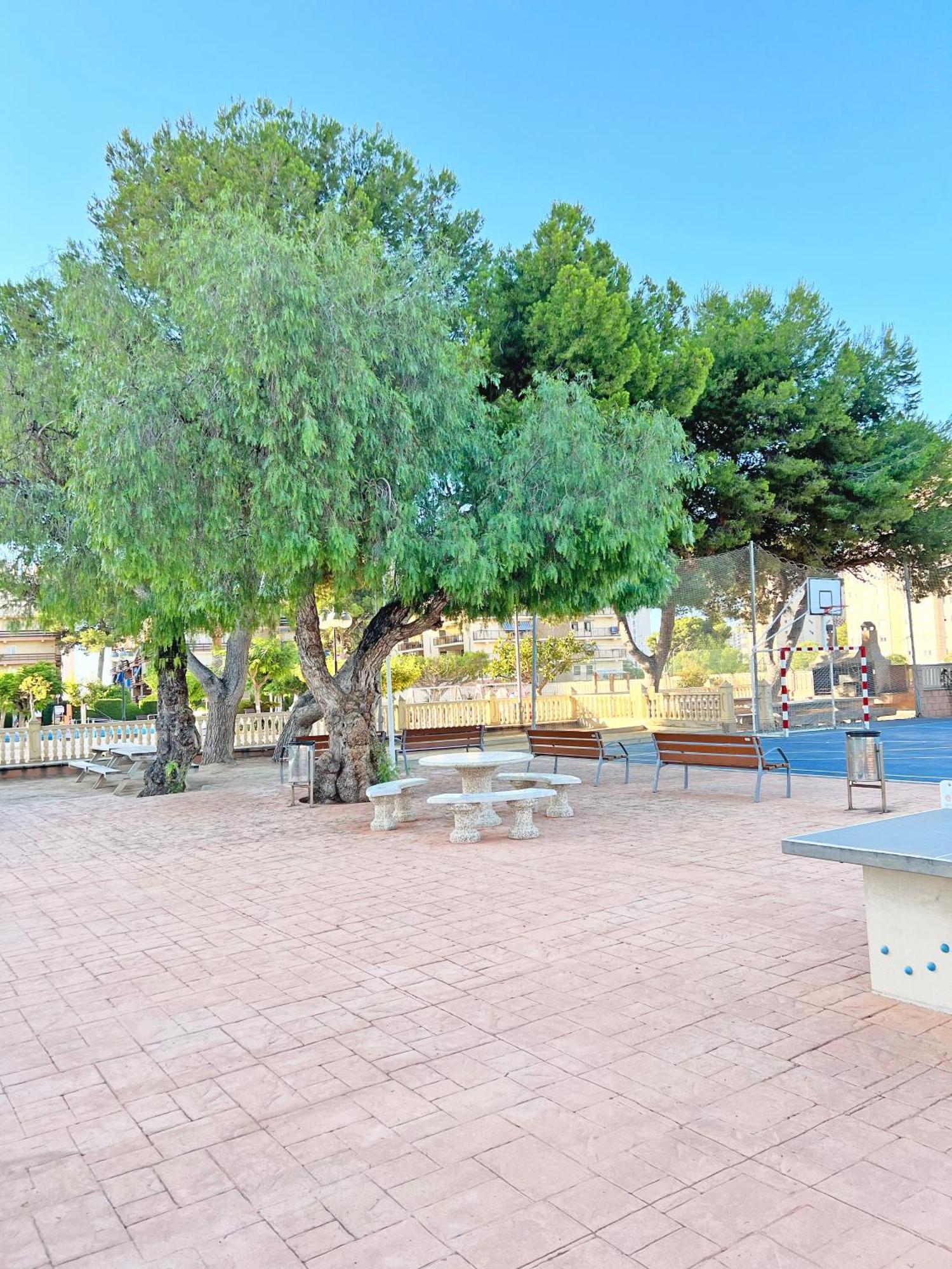 Coqueto Con Piscina, Nuevo A 50M Del Mar, Parking Gratis Lägenhet El Campello Exteriör bild